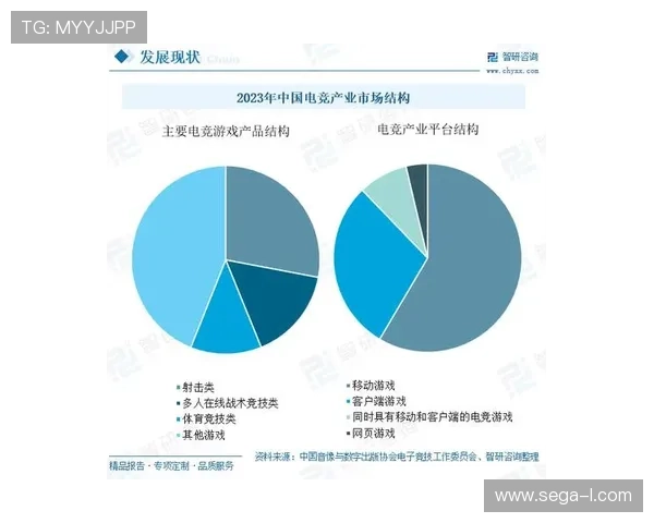 未来PA电子竞技俱乐部在电竞产业中的发展方向与战略布局