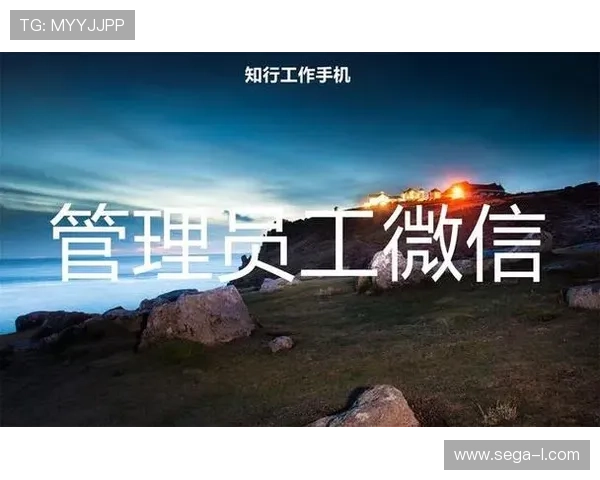 久发365登录平台全面升级助力用户实现高效投资管理与安全保障