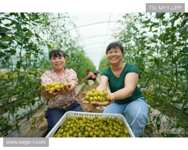 ag捕鱼王游戏官网最新版本下载地址及详细玩法介绍让你轻松掌握捕鱼技巧